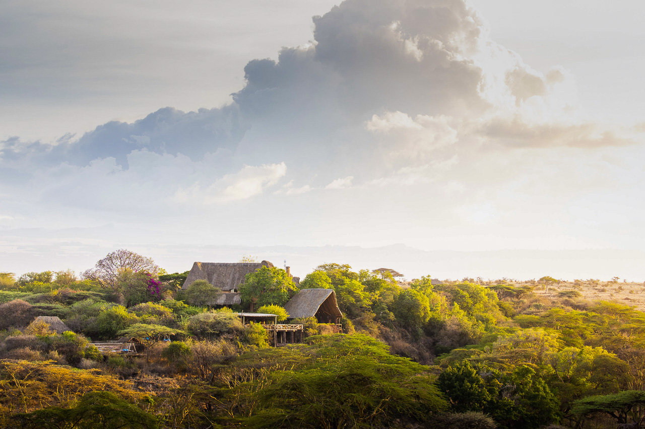 Lewa Wilderness